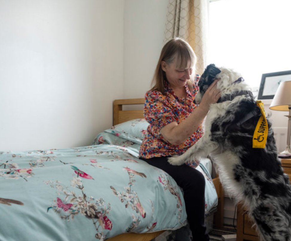 Medical Grade Service Dog Training Atlanta Georgia